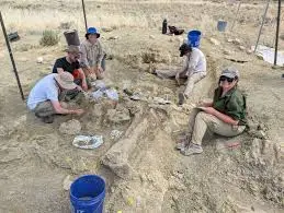 Fossil Dig Day Trip Voucher